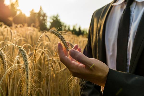 Жапондық үй қызметшісінің секс видеосы Менің құрбымның есегі