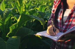Бухгалтерский учет, анализ и аудит (с учетом специфики сельского хозяйства)