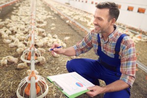 Технологии и технические средства для производства продукции птицеводства