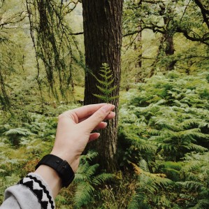 Воспроизводство, защита и использование лесов