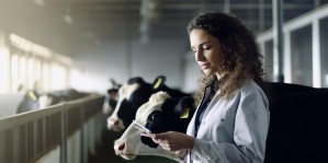 Селекционно-технологические методы управления качеством продукции животноводства