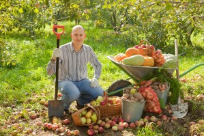 Плодоводство, овощеводство, виноградарство
