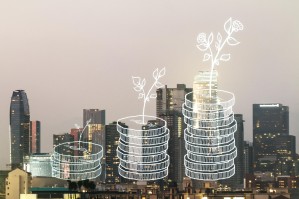 Экономика отраслевых комплексов