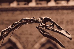 Исторические науки и археология