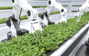 Интеллектуальная энергетика и автоматизированные комплексы в АПК