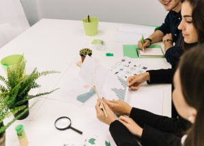 Устойчивое (зелёное) управление проектами