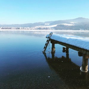 Водные биоресурсы и аквакультура в Арктическом регионе