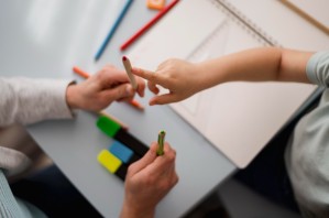 Педагогика инклюзивного и интегрированного образования