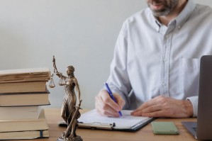 Правоприменительная деятельность