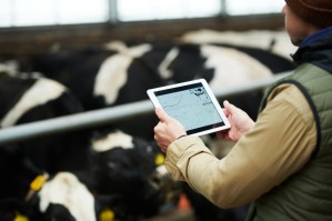 Интенсивные технологии производства продукции животноводства