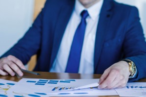 Организационно-правовое обеспечение государственного управления внешнеэкономической и проектной деятельности