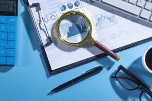 Финансовый контроль и государственный аудит