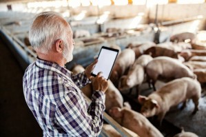 Продуктивное и непродуктивное животноводство с основами цифровых технологий
