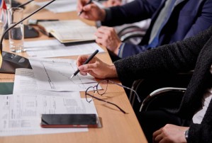 Система государственного и муниципального управления