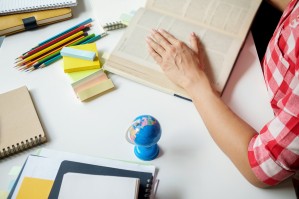 Образование в предметных областях (Русский язык и финский язык)