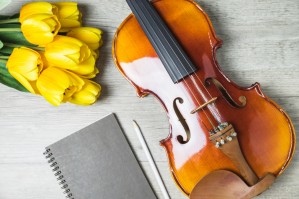 Оркестровые струнные инструменты (по видам инструментов: скрипка, альт, виолончель)