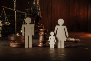 Гражданское право, семейное право, предпринимательское право, международное частное право