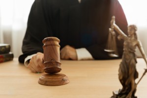 Правоохранительная деятельность