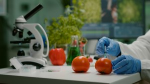 Технология и управление качеством пищевых продуктов