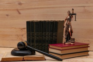 Теория и история права и государства, история учений о праве и государстве