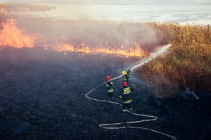 Профилактика и тушение природных пожаров