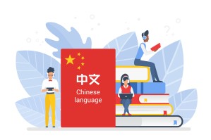 Иностранный язык (китайский) и Иностранный язык (английский)