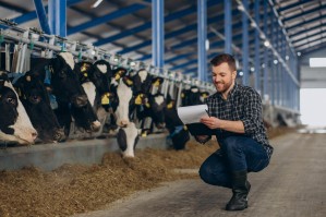 Управление технологическими процессами производства продукции животноводства