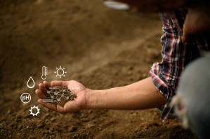 Управление качеством почв и биотехнологии