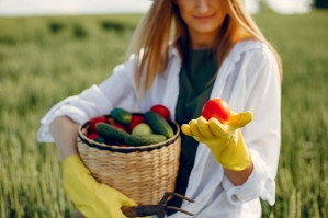 Плодоовощеводство
