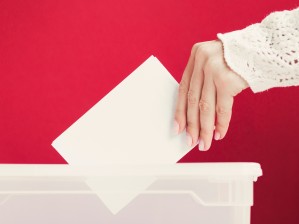 Избирательные системы и избирательный процесс