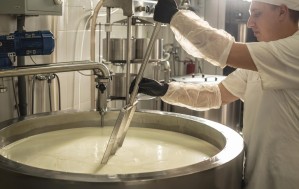 Технология молока и молочных продуктов