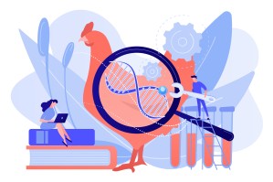 Генетика и селекция животных