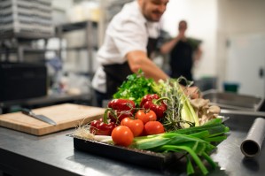 Технология продукции и организация общественного питания