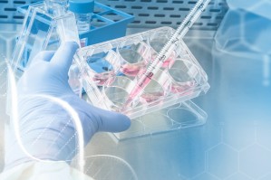 Химическая технология полимеров медико-биологического назначения