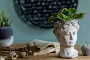 Культурология