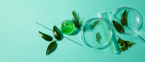 Технология органических веществ, химико-фармацевтических препаратов и косметических средств