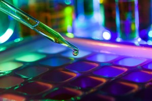 Бионанотехнологии и наноструктурированные биоматериалы