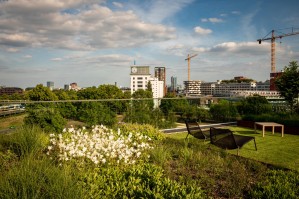 Городское строительство и хозяйство