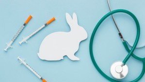 Медицинская и прикладная зоология