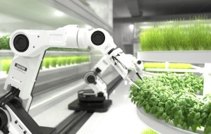 Искусственный интеллект в агроинженерии