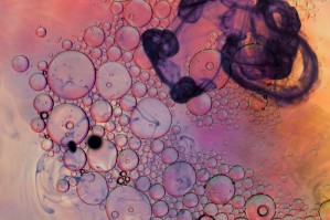 Molecular and Cell Biology (на английском языке)
