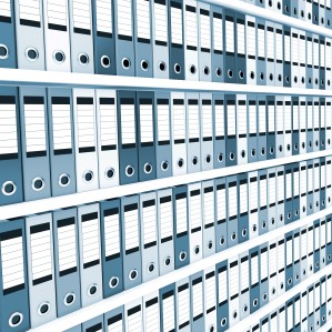 Информационное и документационное обеспечение управления и архивное дело