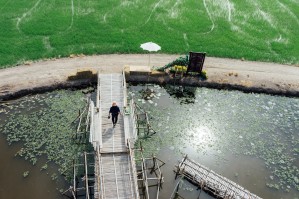 Управление водными биоресурсами и рыбоводство