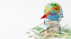 Защита национальных интересов Российской Федерации в экономической и внешнеэкономической сфере