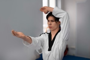 Каратэдо, киокусинкай, ушу