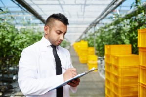 Технология производства, хранения и переработки продукции растениеводства
