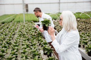 Технологии производства продукции растениеводства