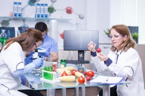 Технология продуктов функционального и профилактического питания