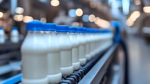 Технология молока и молочных продуктов