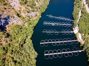 Водные биоресурсы и аквакультура